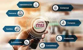 Sistemas de Información Gerenciales (MSI)
