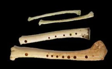 Començament de la música