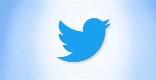 Twitter hatches (2006)