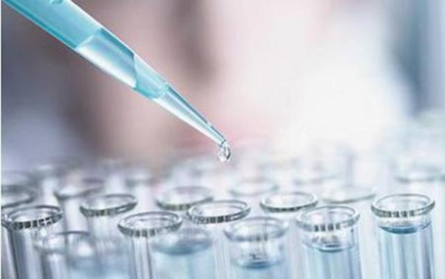 La creacion de vida artificial