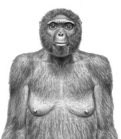 El hominido mas antiguo