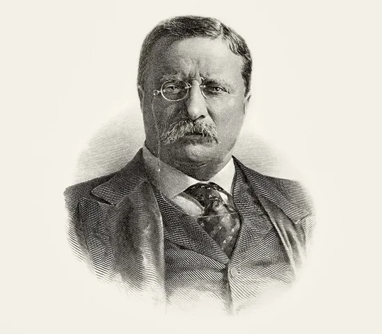 Theodore Roosevelt Becomes President