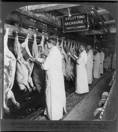 Pure Food and Drug Act