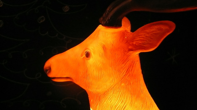 First time I rode a horse.