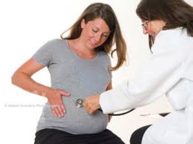 Bones are visible. Heartbeat can be heard with a stetoscope.