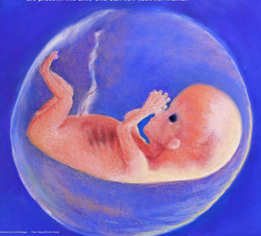 Heart begins to beat regularly. Eyes and ear begin to form.