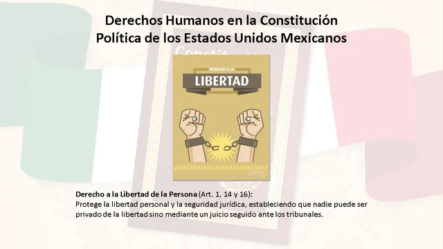 Derecho a la Libertad de la Persona (Art. 1, 14 y 16)