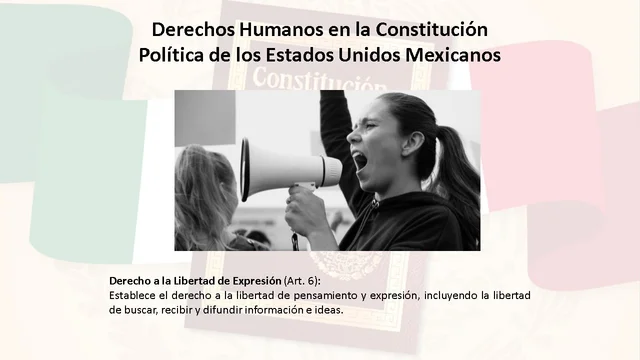 Derecho a la Libertad de Expresión (Art. 6)