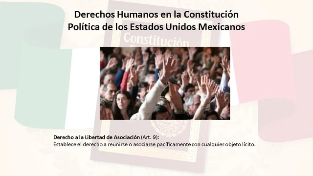 Derecho a la Libertad de Asociación (Art. 9)