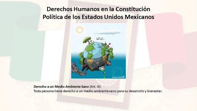 Derecho a un Medio Ambiente Sano (Art. 4)