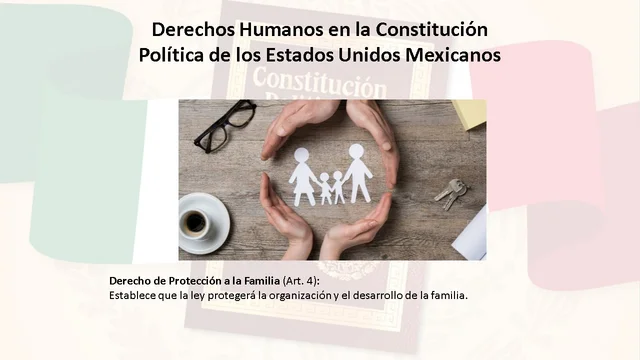 Derecho de Protección a la Familia (Art. 4)