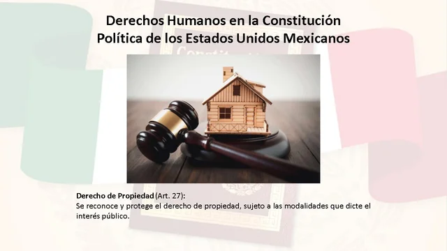 Derecho de Propiedad (Art. 27)