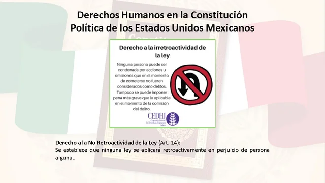 Derecho a la No Retroactividad de la Ley (Art. 14)