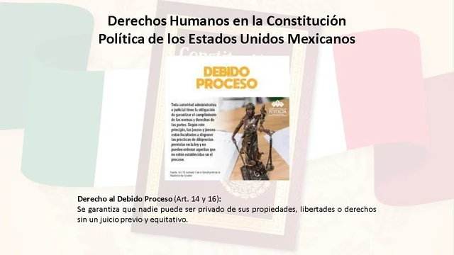 Derecho al Debido Proceso (Art. 14 y 16)