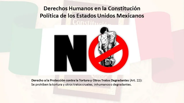 Derecho a la Protección contra la Tortura y Otros Tratos Degradantes (Art. 22)