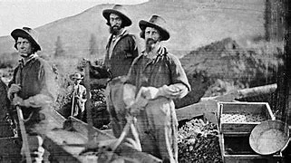The California Gold Rush