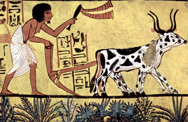 1. Agricultural Revolution
