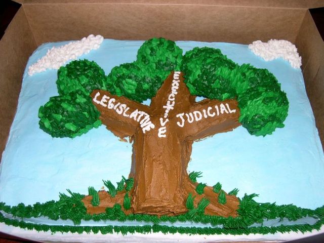 Three Branches of Government: