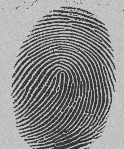 Fingerprints form