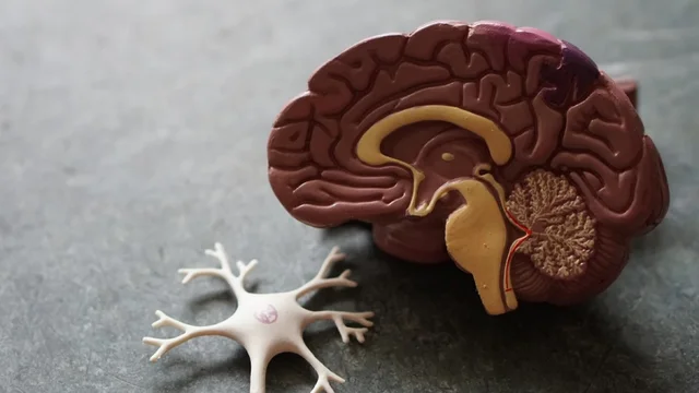 Kurt Goldstein - Neuropsicología clínica.