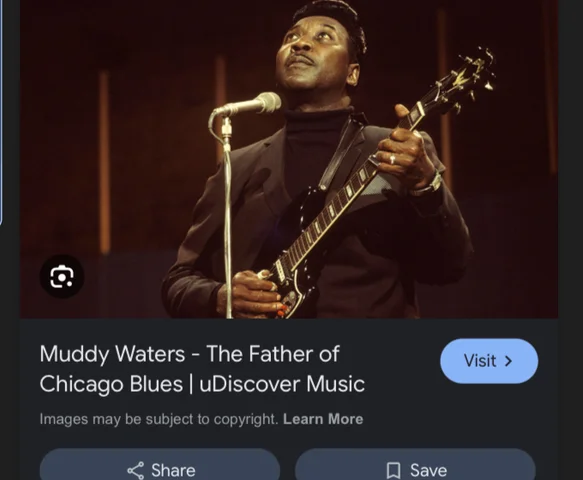 Muddy Waters