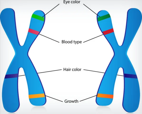 Origen de los estudios de genes