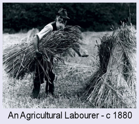 Agricultural Age