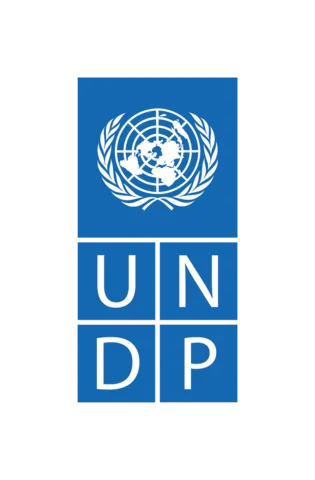 1° Convocatoria PNUD