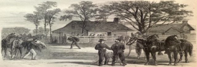 -- Sherman Marches through North and South Carolina.