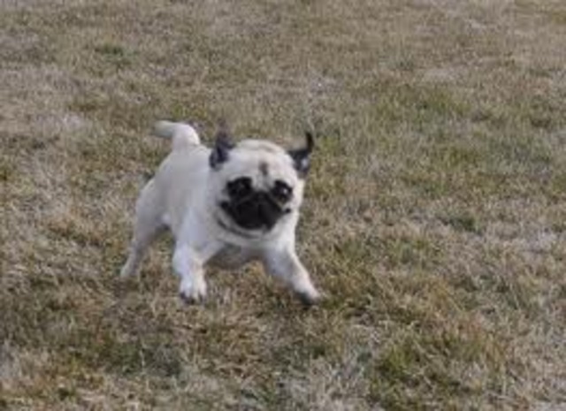 Racing Through The Years