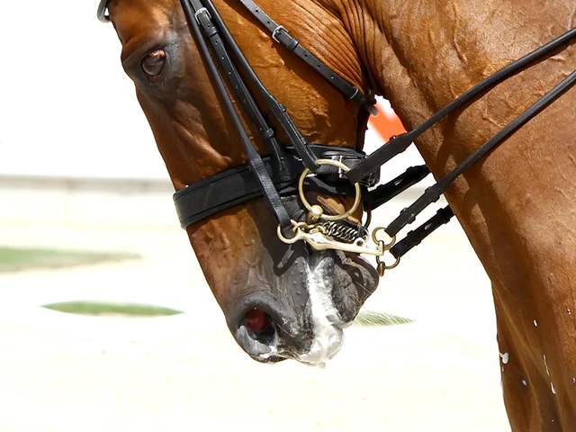 Hacia mediados del Siglo XIX.