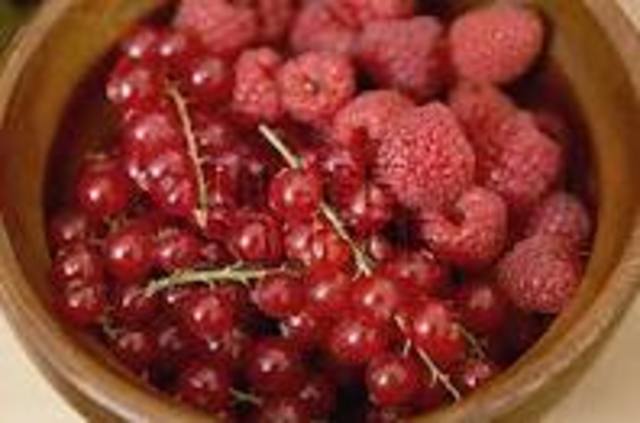 Brian finds food to eat