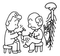 Bechterev empezó a trabajar sobre los Reflejos.