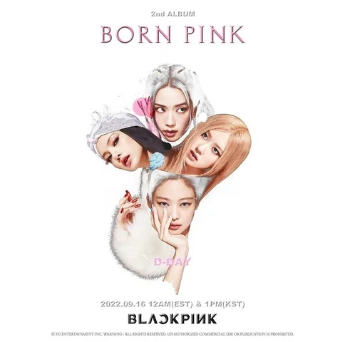 Born Pink and second world tour