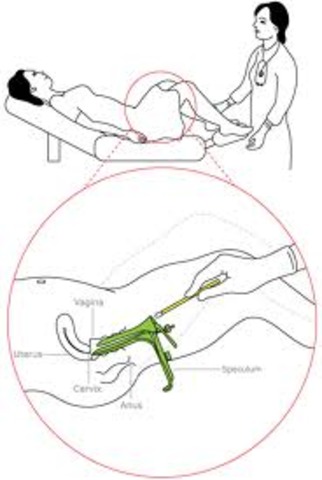 Pap Smear