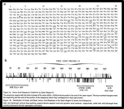 Se determinó la secuencia exacta del genoma del virus del mosaico de la coliflor