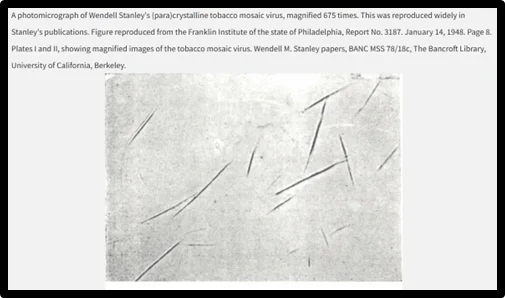 Stanley obtuvo una proteína cristalina infecciosa del virus del mosaico del tabaco