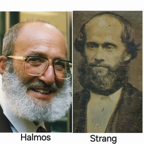 Álgebra lineal moderna (Halmos, Strang)