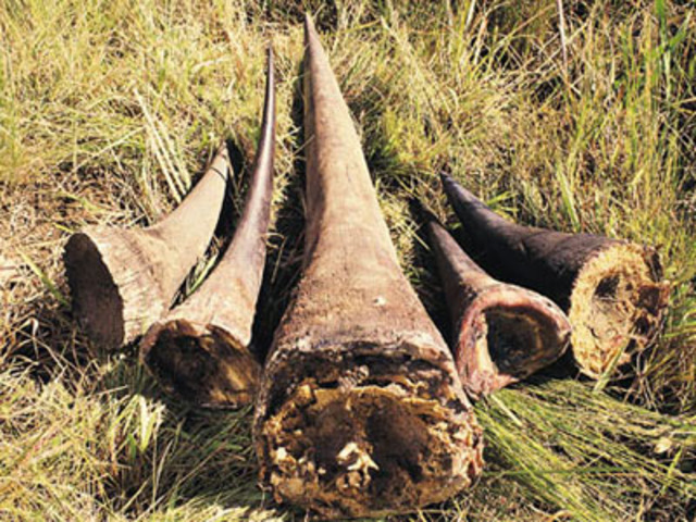 Forest Ranger Killed And Another Badly Injured After Being Shot By Poachers