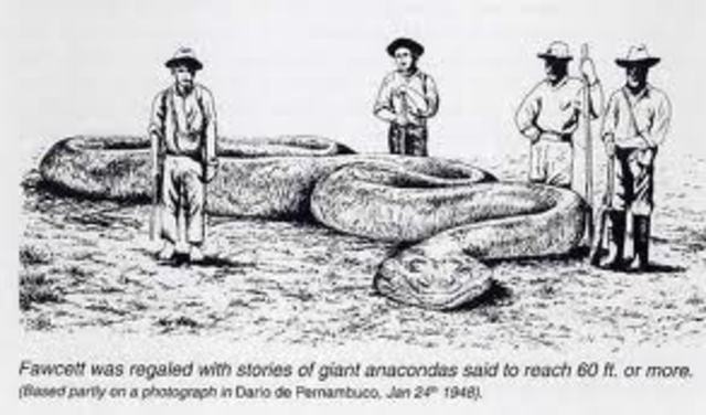 The giant Anaconda
