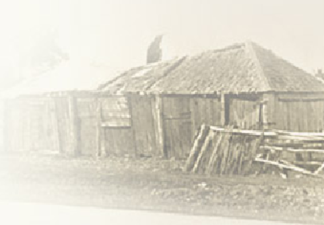 Appointed to a salaried teaching position at Portland Catholic Denominational School