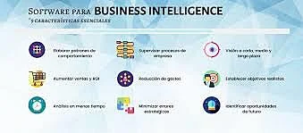Creacion de multiples aplicaciones de BI que ofrecían acceso a bases de datos para empresas.