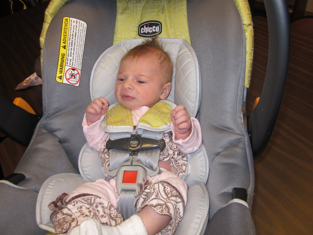 Lucy takes her first car ride to Pennsylvania