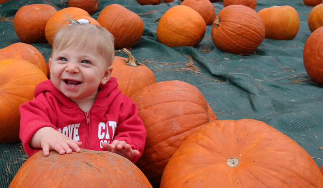 Lucy's First Pumpkin Patch