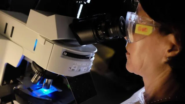 Microscopio de luz infrarroja (IR)