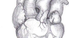 Timeline: Events Leading to the First Heart Transplant