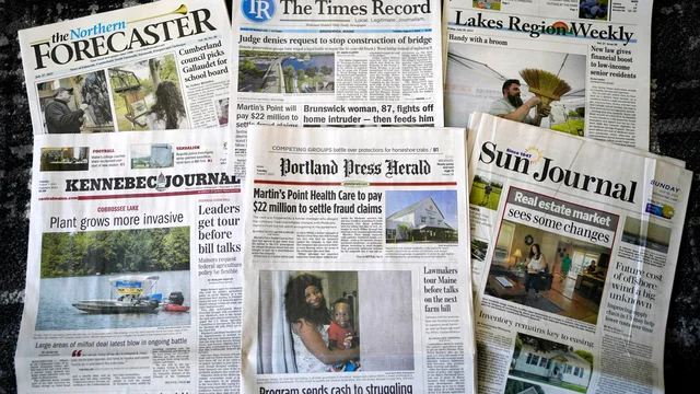 Newspaper
