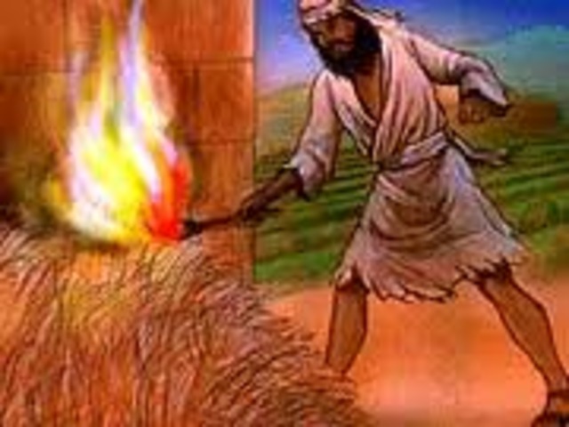 Jewish Zealot Movement Begins