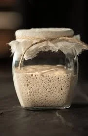 Introduction of food fermentation