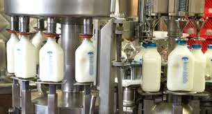 Discovery of pasteurization